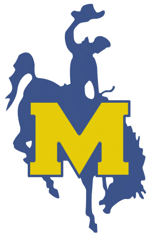 McNeese State Cowboys 1987-2003 Primary Logo iron on transfers for T-shirts